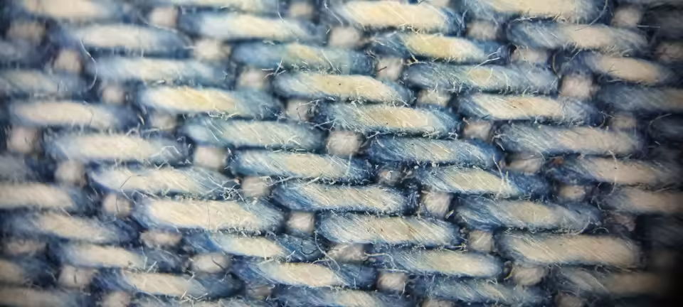 Photo au microscope partagée par un client