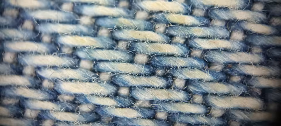 Photo au microscope partagée par un client