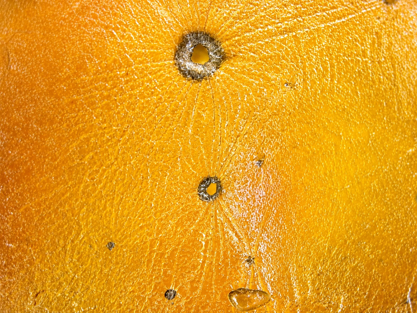 Surface d'un bonbon observée avec MacroVio